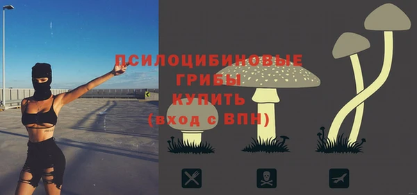синтетический гашиш Алексин