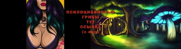 тгк Алексеевка