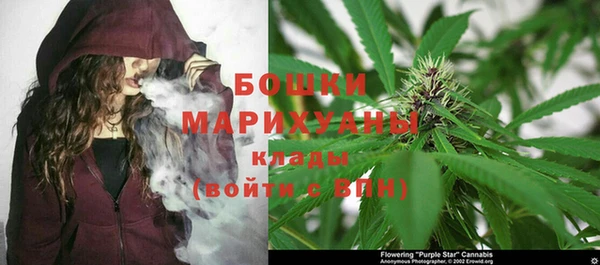 дурь Алзамай